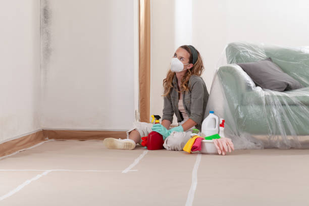 Reliable Black Mold Removal contractor in Roseland, NJ by WQB Mold Removal